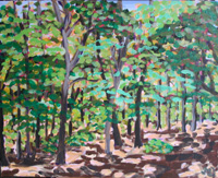 cape cod landscape